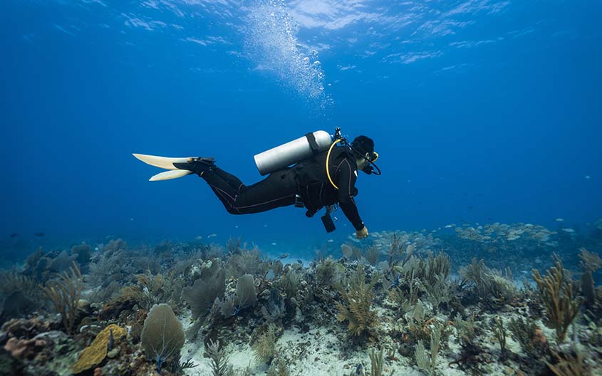 BSAC Discovery Diver Course1