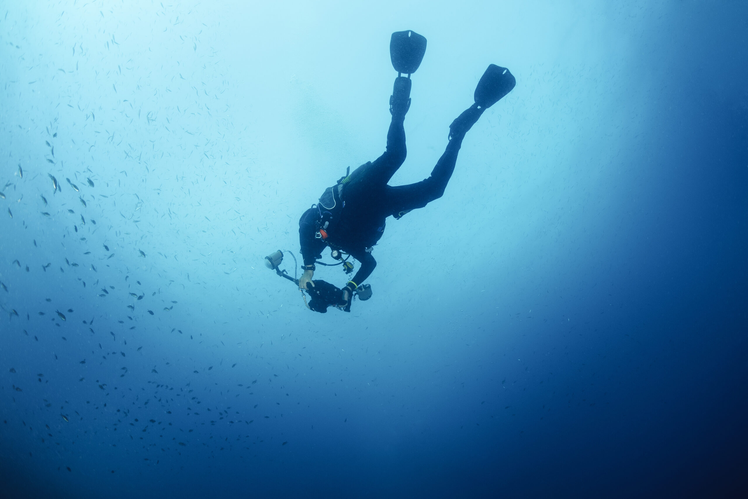 professional scuba diver taking photo with camera