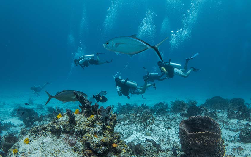 Daily dive trip2