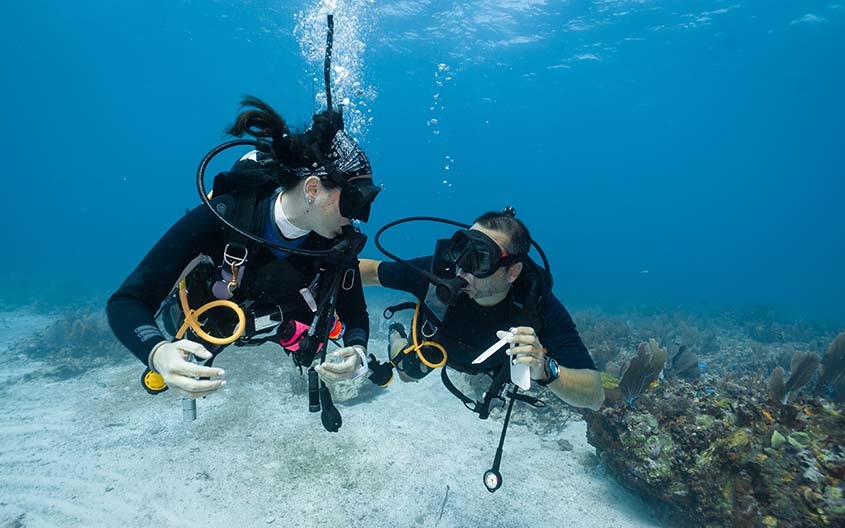 PADI Advanced Open Water course1