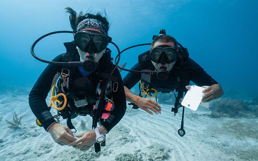 PADI Open Water course1