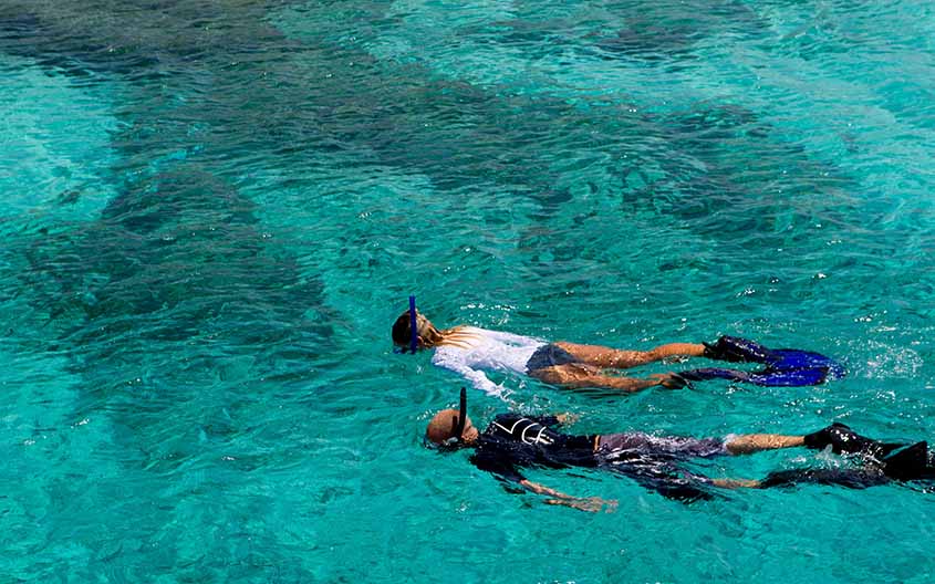 Snorkeling trip1