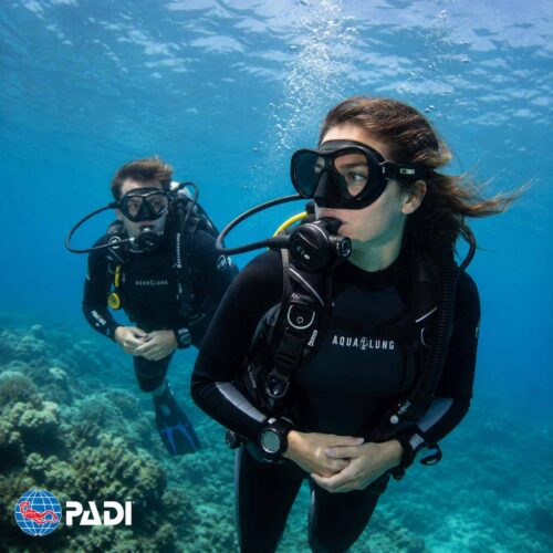 PADI Scuba Courses